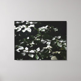 Impressão Em Tela Folhas Escuras