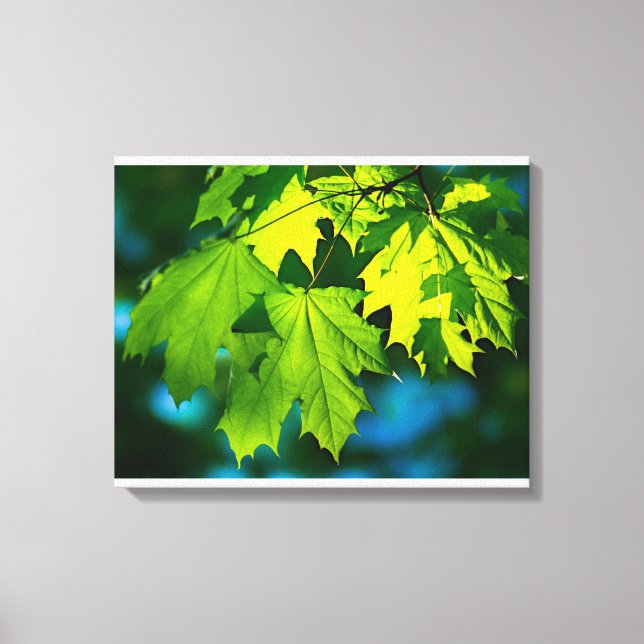 Impressão Em Tela Folhas frescas de mapeamento verde (Frente)