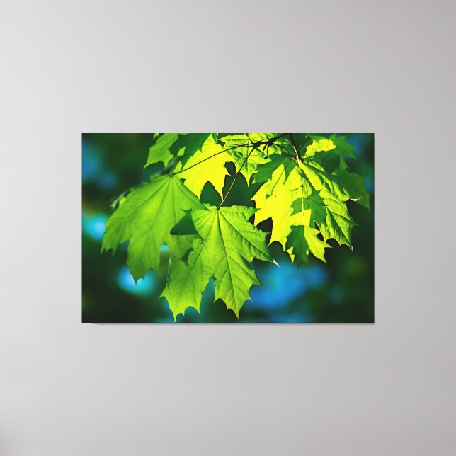 Impressão Em Tela Folhas frescas de mapeamento verde (Frente)