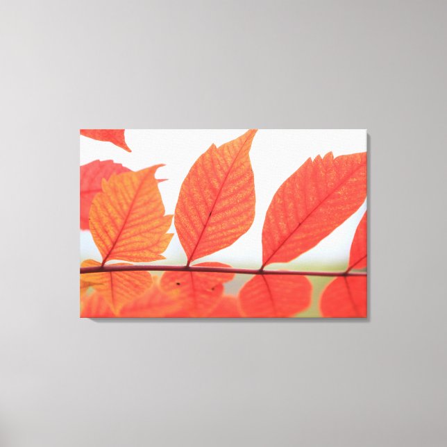 Impressão Em Tela Folhas Laranja de Outono (Frente)