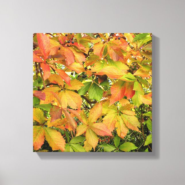 Impressão Em Tela Folhas selvagens da vinha do outono (Frente)