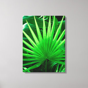 Impressão Em Tela Folhas tropicais, palma do moinho de vento, verde