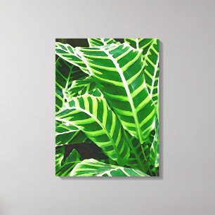 Impressão Em Tela Folhas tropicais, planta da zebra, verde escuro