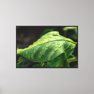 Impressão Em Tela Folhas, Verde, Botânica