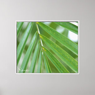 Impressão Em Tela Folhas Verdes (fotografia tirada por mim)