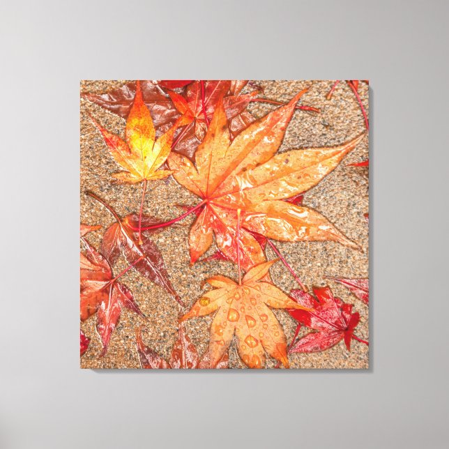 Impressão Em Tela Folhas Vermelhas na Chuva (Frente)