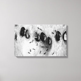 Impressão Em Tela formigas surfadoras