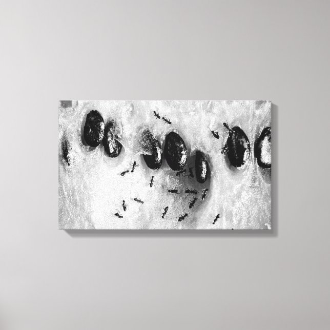 Impressão Em Tela formigas surfadoras (Frente)