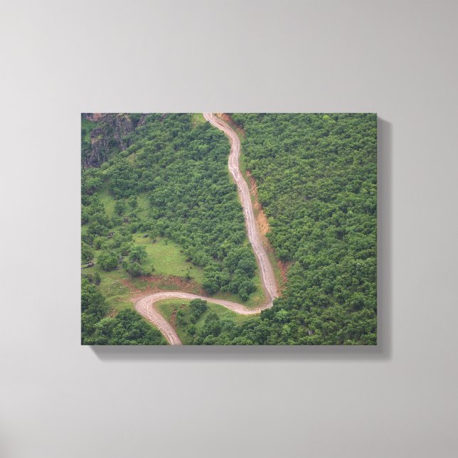 Impressão Em Tela Foto aérea da floresta (Frente)