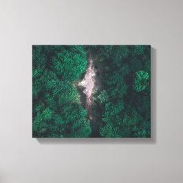 Impressão Em Tela Foto aérea de floresta verde