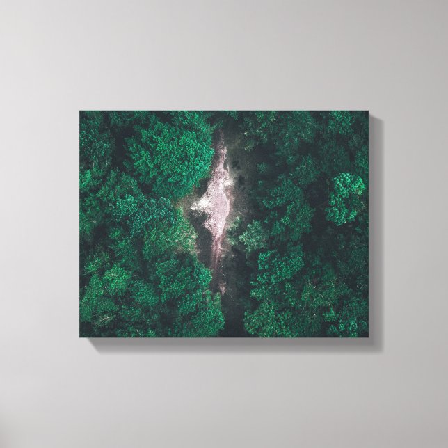 Impressão Em Tela Foto aérea de floresta verde (Frente)