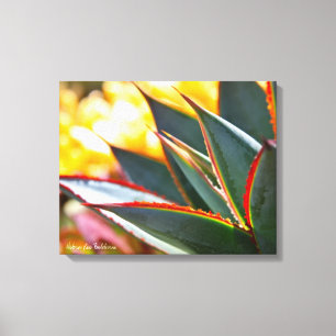 Impressão Em Tela Foto azul Debra Lee Baldwin do succulent do fulgor