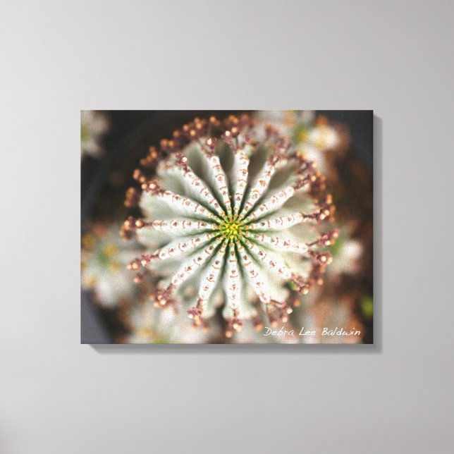 Impressão Em Tela Foto bem-sucedida de Debra Lee Baldwin (Frente)