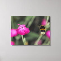 Foto Botânica de Abelha Voando em Direção à Flor