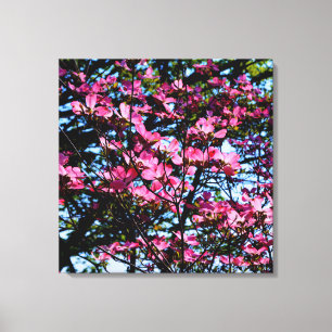 Impressão Em Tela Foto da árvore de madeira de anão florida rosa