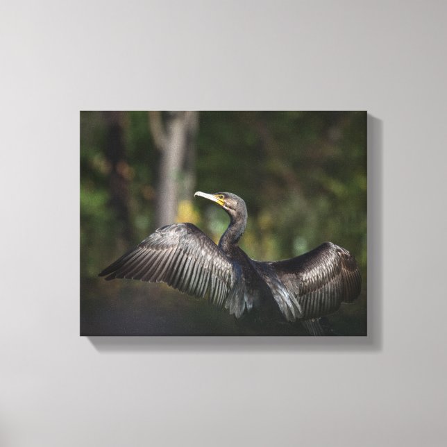 Impressão Em Tela Foto da natureza cormorante (Frente)