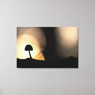 Impressão Em Tela Foto da Natureza de Cogumelo Minúsculo