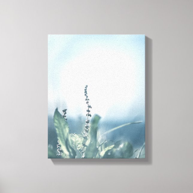 Impressão Em Tela Foto da natureza do campo verde (Frente)