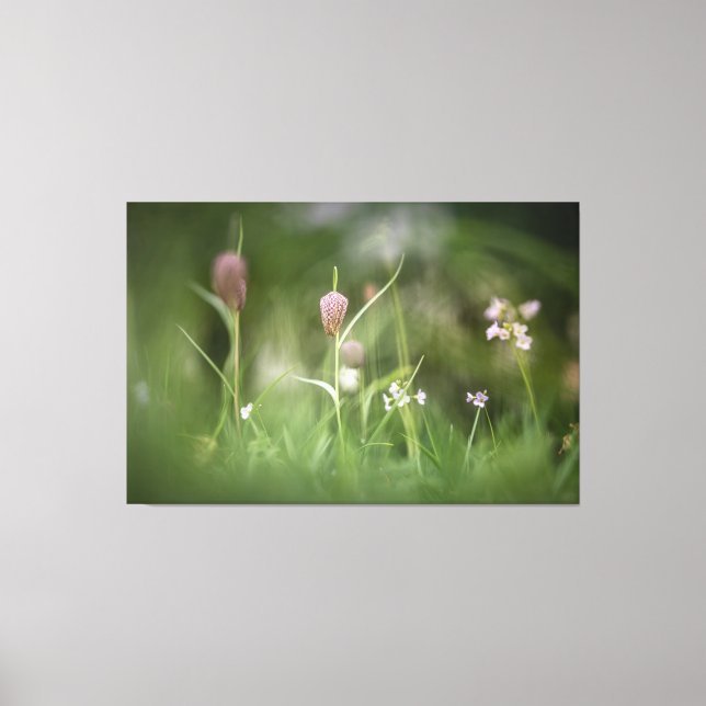 Impressão Em Tela Foto da Natureza do Chess Flower (Frente)