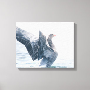 Impressão Em Tela Foto da natureza do ganso Greylag