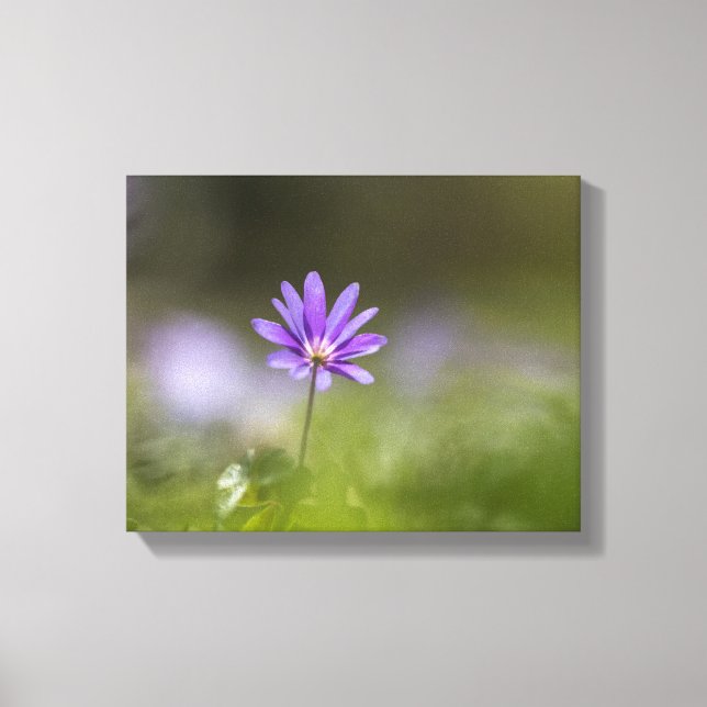 Impressão Em Tela Foto da natureza do girassol púrpura (Frente)