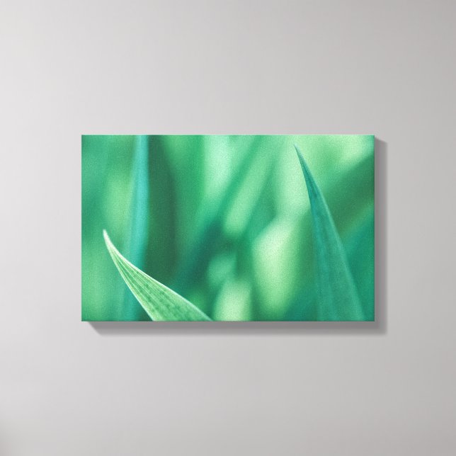 Impressão Em Tela Foto da Natureza Floral Verde (Frente)