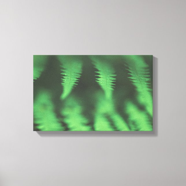 Impressão Em Tela Foto da Natureza Green Fern (Frente)