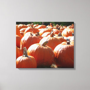 Impressão Em Tela Foto de Abóboras para Outono, Halloween ou Dia de