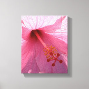 Impressão Em Tela Foto de Arte Fino de Hibisco Rosa Havaiano