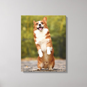 Impressão Em Tela Foto de cachorrinho Corgi feliz em pé