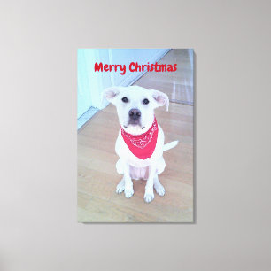 Impressão Em Tela Foto de cachorro fofo com orelhas engraçadas Natal