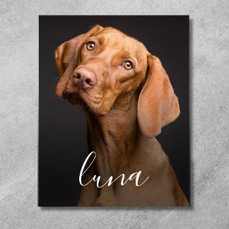 Impressão Em Tela Foto de cachorro personalizada com nome