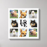 Foto de cão 8 Imagens Instagrantes