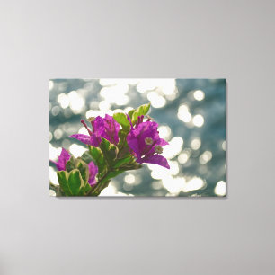 Impressão Em Tela Foto de Flor de Brilho do Sol Bokeh Bougainvillea