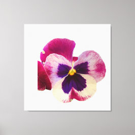 Impressão Em Tela Foto de Flor de Pansy Rosa e Roxo Vibrante em Tela