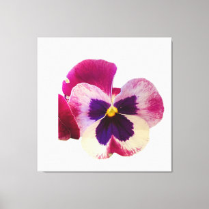 Impressão Em Tela Foto de Flor de Pansy Rosa e Roxo Vibrante em Tela