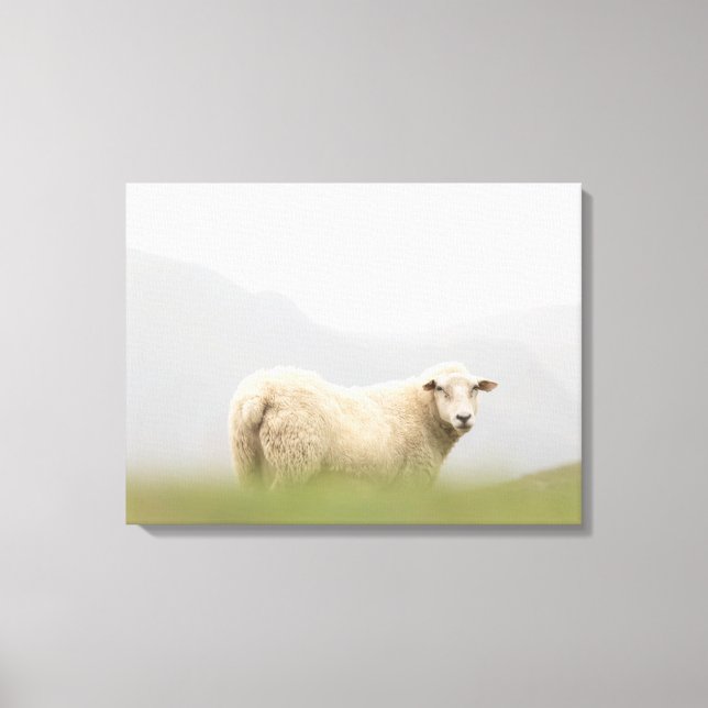 Impressão Em Tela Foto de natureza de ovelha (Frente)