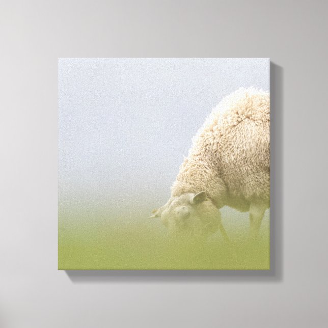 Impressão Em Tela Foto de Natureza Ovina Grazing (Frente)