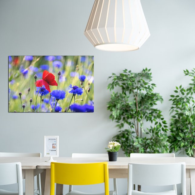 Impressão Em Tela Foto de papoulas vermelhas silvestres (Criador carregado)