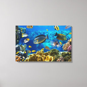 Impressão Em Tela Foto de um peixe tropical em um recife de corais
