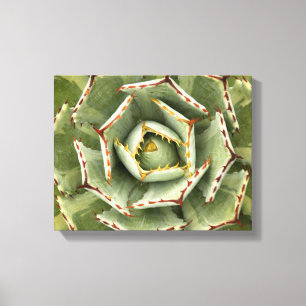 Impressão Em Tela "Foto do ponto de creme" da agave