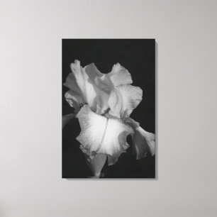 Impressão Em Tela Foto Floral de Íris Preto e Branco
