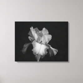 Impressão Em Tela Foto Floral de Íris Preto e Branco