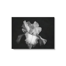 Foto Floral de Íris Preto e Branco
