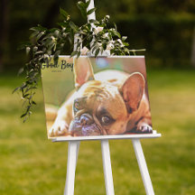 Foto Pet Personalizada Datas Memorial Imagem Franc