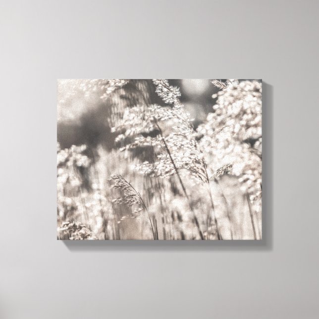 Impressão Em Tela Foto Reed Nature (Frente)