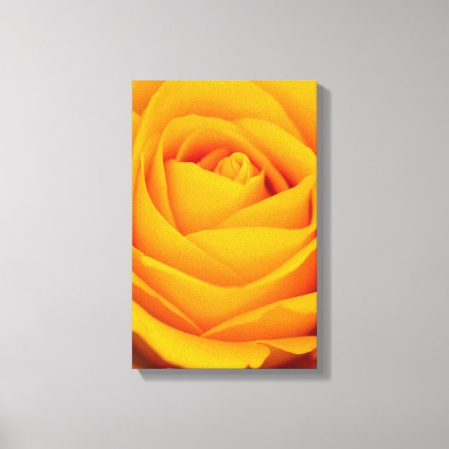 Impressão Em Tela Foto rosa amarela Tela (Frente)