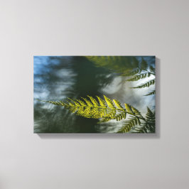 Impressão Em Tela Foto verde Floral Fern Nature