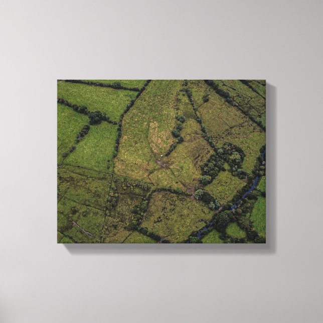 Impressão Em Tela fotografia aérea de campos verdes (Frente)