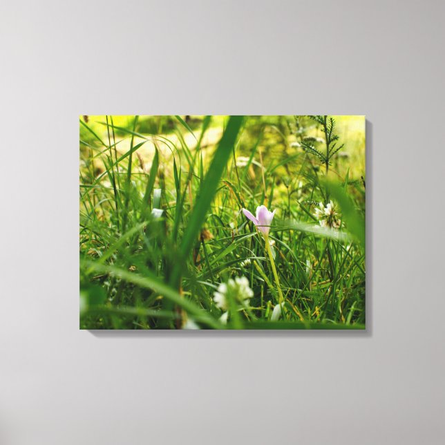 Impressão Em Tela Fotografia Botânica Floral Púrpura Flores (Frente)